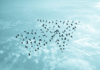 Fliegende Vögel in einer Pfeil-Formation zeigen symbolisch die Richtung bei ECR (Efficient Consumer Response)